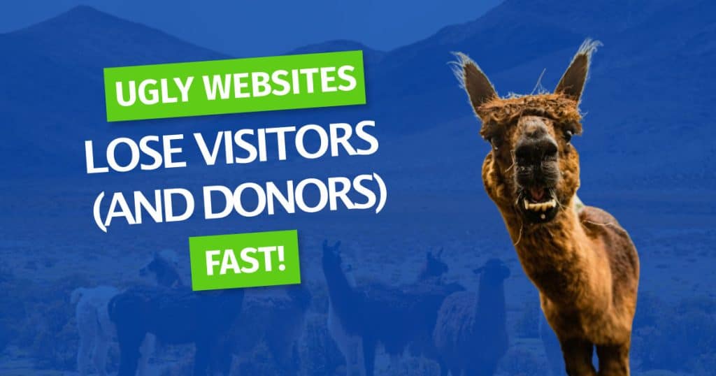 ugly-websites-lose-donors