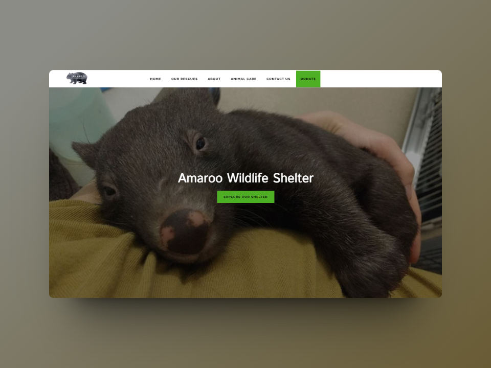 amaroo-wildlife-shelter