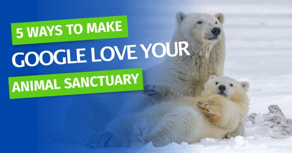 make-google-love-your-animal-sanctuary