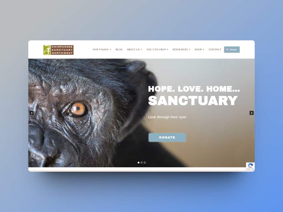 chimp-sanctuary-northwest
