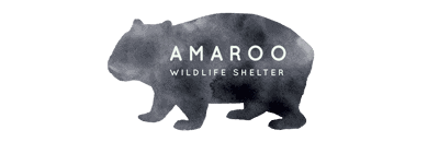 cropped-amaroo-header-logo