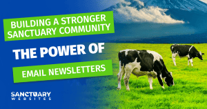 The Power Of Email Newsletters