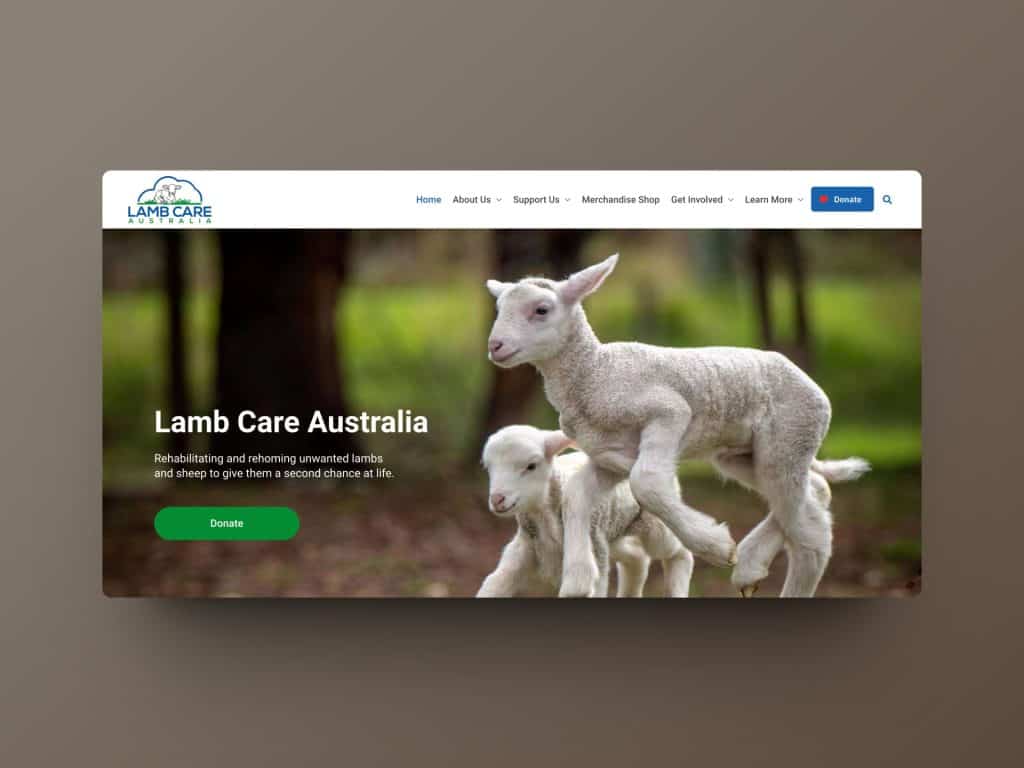 lamb-care-australia-opt